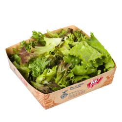 Bio-Mixsalat