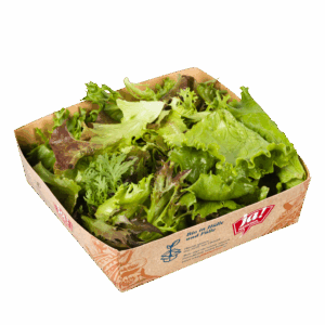Bio-Mixsalat