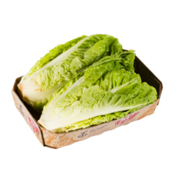 Bio-Salatherzen