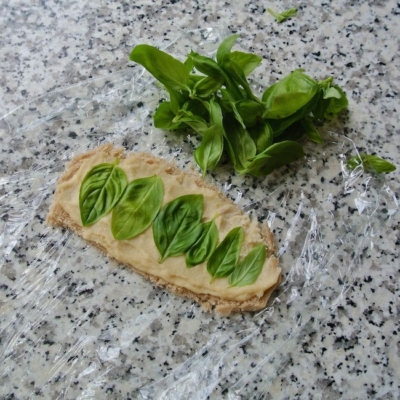 Bio-Spinatblätter auf einer Scheibe Brot, daneben ein Bündel Spinat.