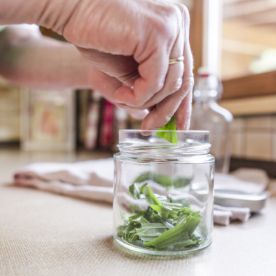 Jemand befüllt ein Glas mit Spitzwegerich.