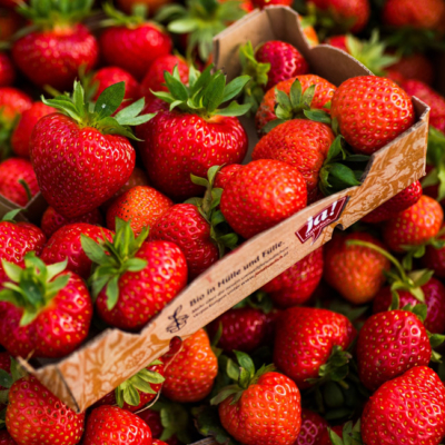 Ja! Natürlich Bio-Erdbeeren.