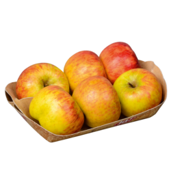 Bio-Äpfel Topaz