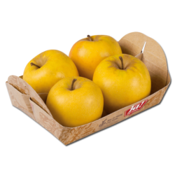 Bio-Äpfel Opal