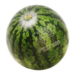 Bio-Mini Wassermelone