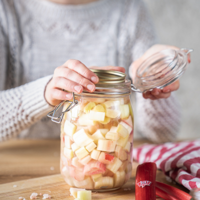 fermentierter Rhababer