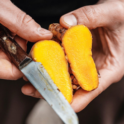 Kurkuma aufgeschnitten Nahaufnahme - Ja! Natürlich