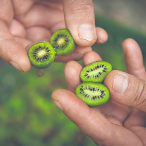 Mini-Kiwi aufgeschnitten - Ja! Natürlich
