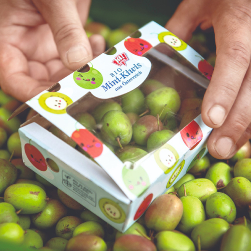 Mini-Kiwi von Ja! Natürlich