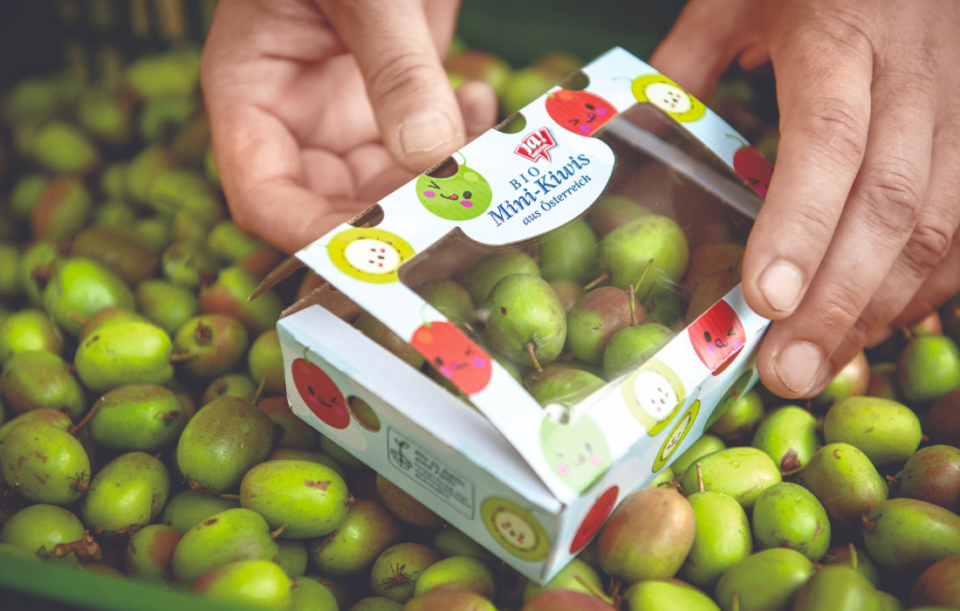 Exotisch und aus Österreich: Mini-Kiwis