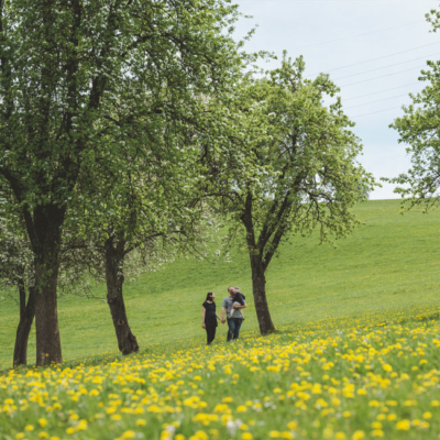 Biohof Hofer, Streuobst - Ja! Natürlich