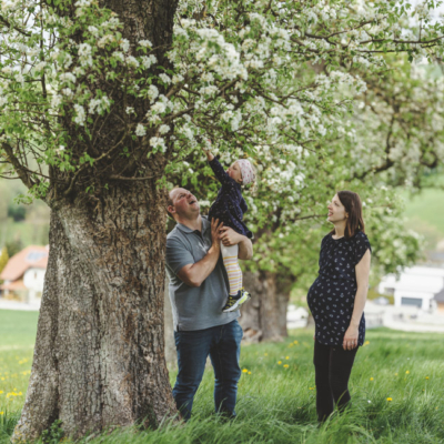 Biohof Hofer, Apfel Ernte mit Kind - Ja! Natürlich
