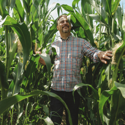 Bio-Bauer Grundschober geht durchs Griesmais Feld - Ja! Natürlich