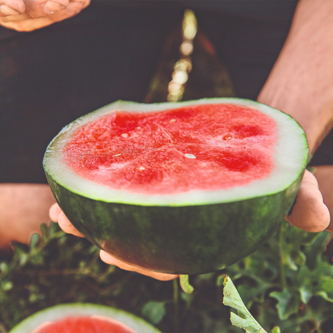 Ja! Natürlich Bio-Wassermelone aufgeschnitten