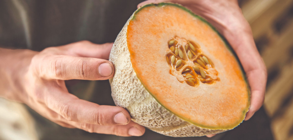 Ja! Natürlich Bio-Zuckermelone aufgeschnitten