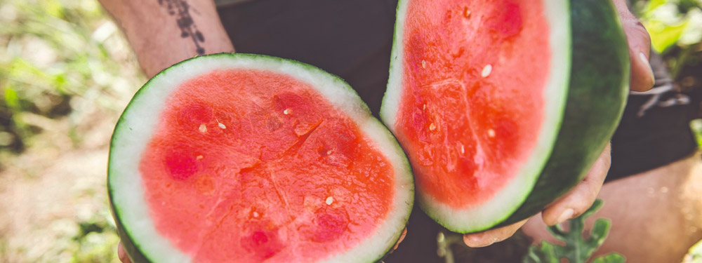 Ja! Natürlich Melonen, exotisch & aus Österreich