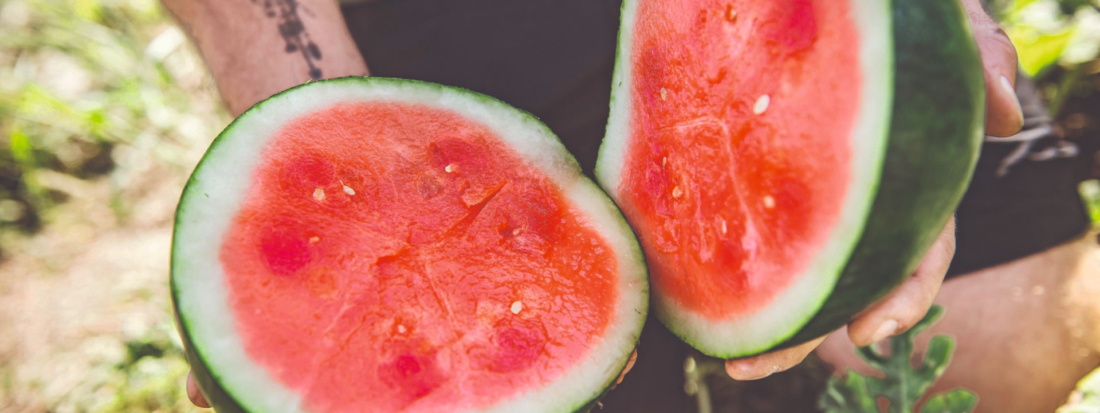 Exotisch und aus Österreich: Melonen