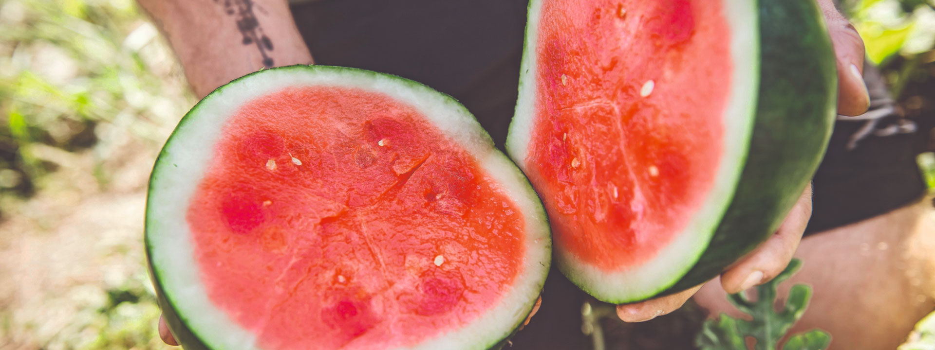 Ja! Natürlich Melonen, exotisch & aus Österreich