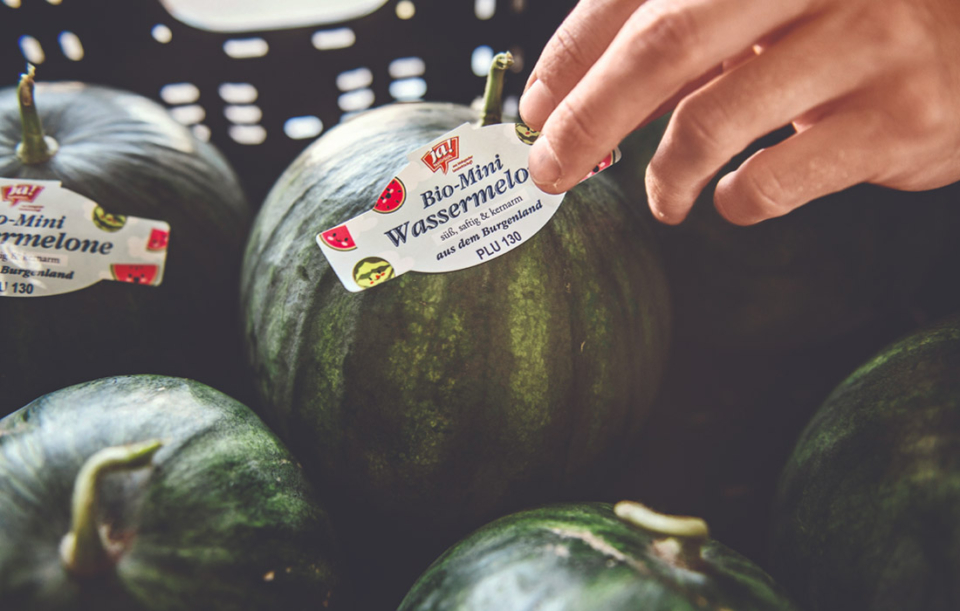 Exotisch und aus Österreich: Melonen