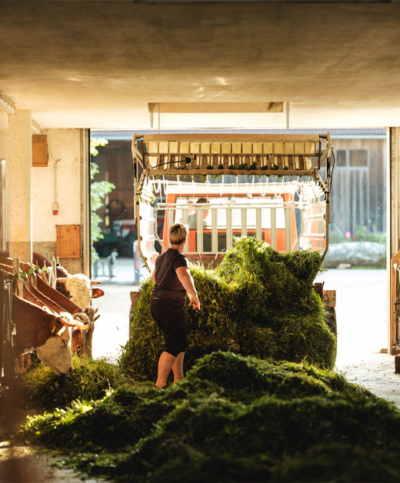 Doris Schauer in der Scheune - Ja! Natürlich