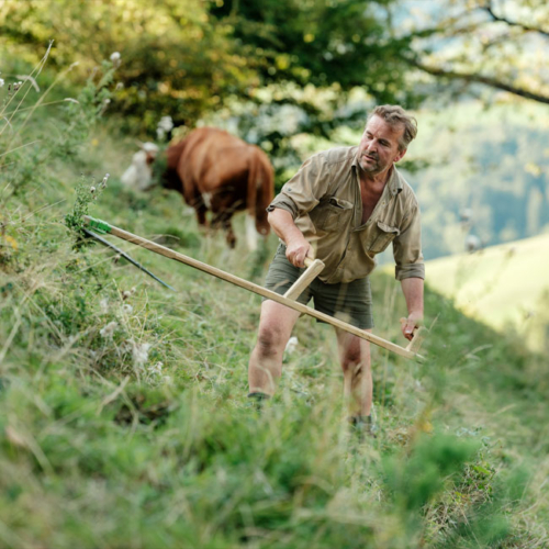 Bio-Bauer Schauer beim Gras sensen - Ja! Natürlich