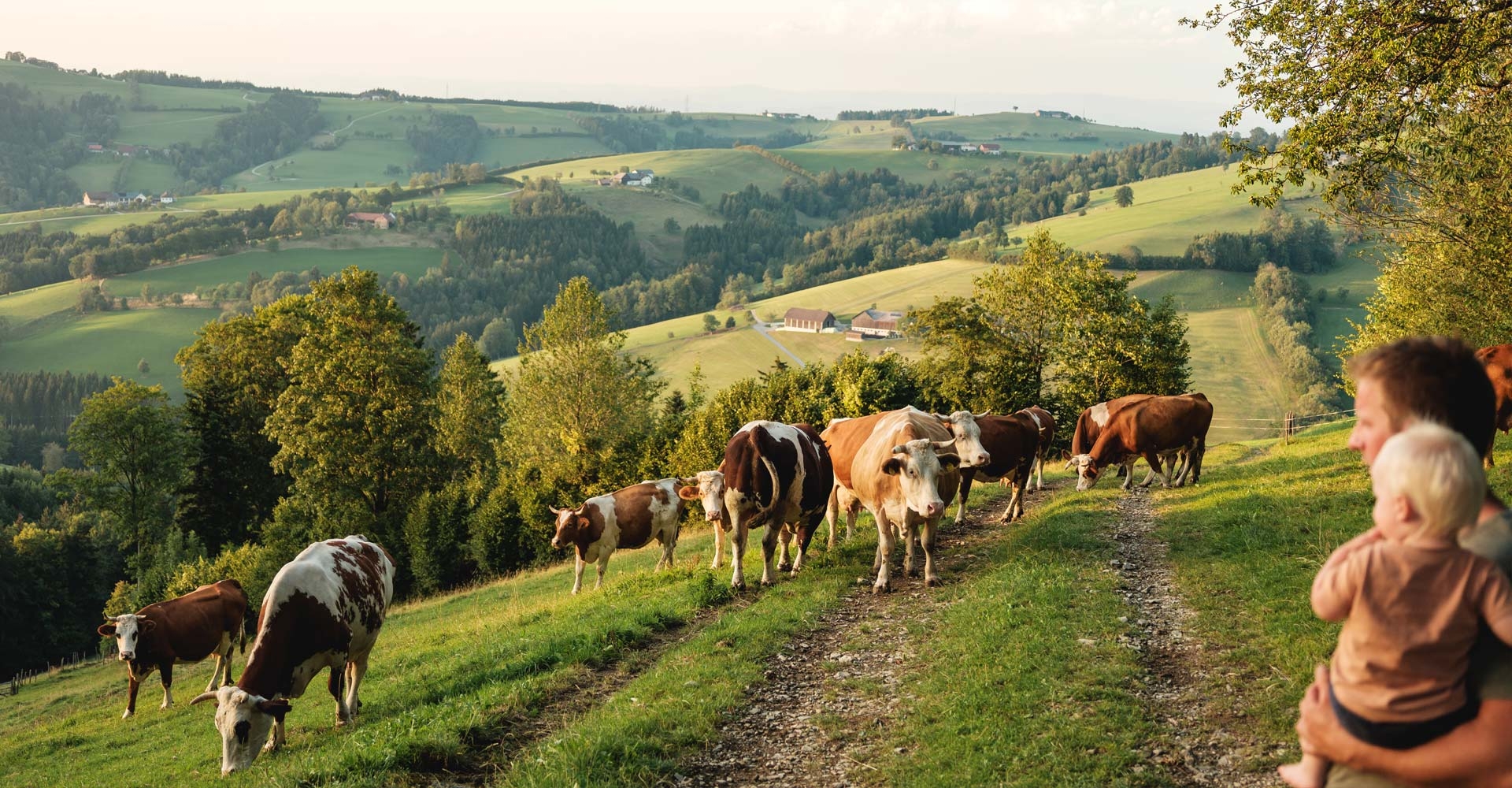 Bio-Bauer Schauer liefert frische Bio-Milch - Ja! Natürlich
