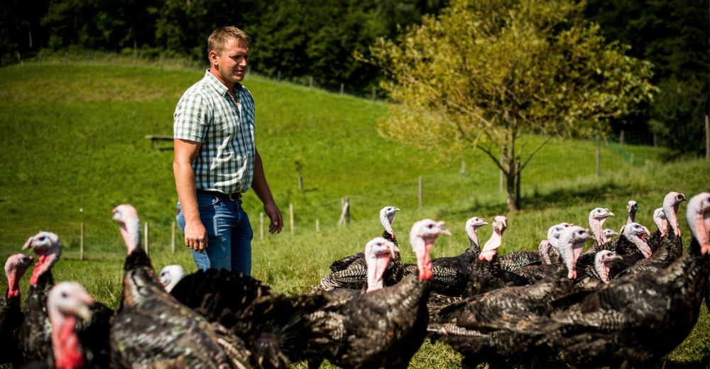 Bio-Bauer Bramauer, Freiland-Pute - Ja! Natürlich