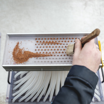 Bio-Bauer Rumplmayr, Saatgut Befüllung - Ja! Natürlich