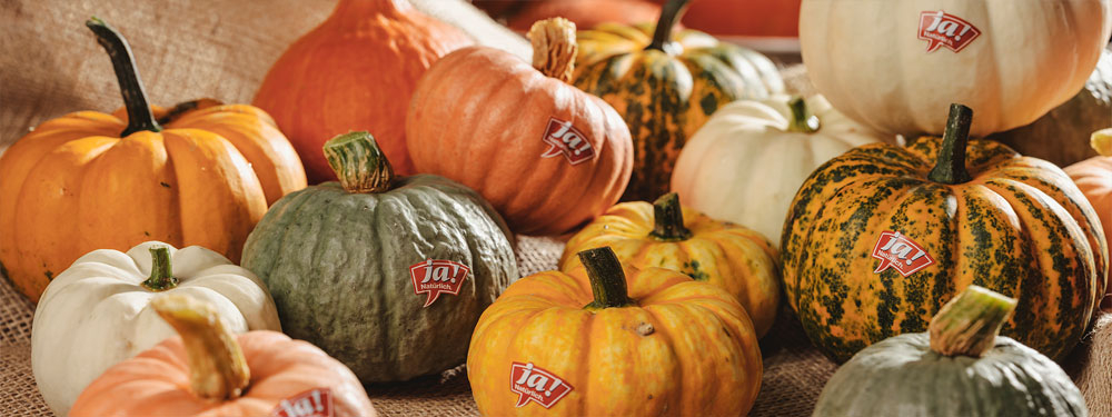 Bio-Kürbis: Arten & Tipps zur Zubereitung - Ja! Natürlich