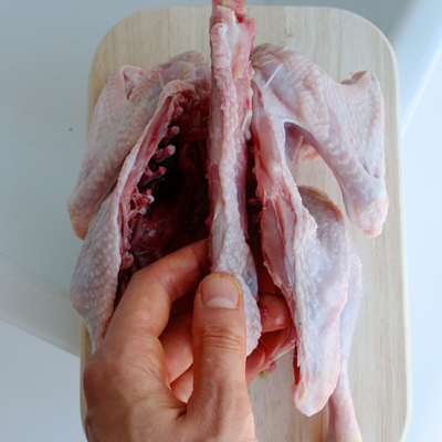Jemand befreit das Rückgrat vom Bio-Gockel.
