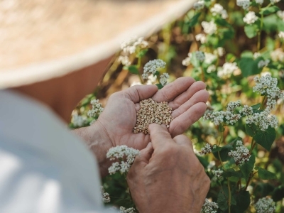 Bio Superfood Österreich