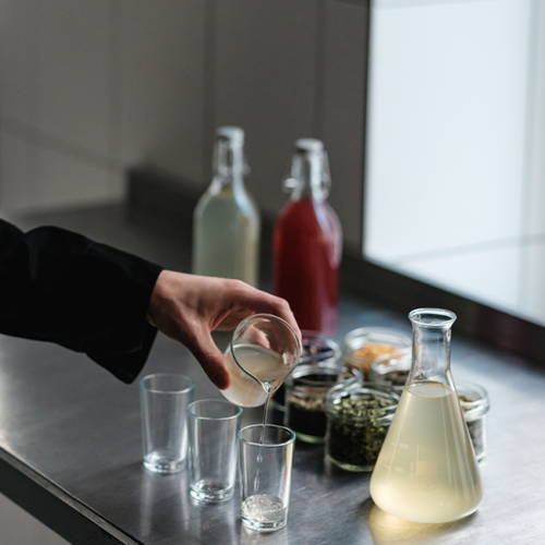 Kombucha-Entwicklung: verschiedene Teesorten und Proben