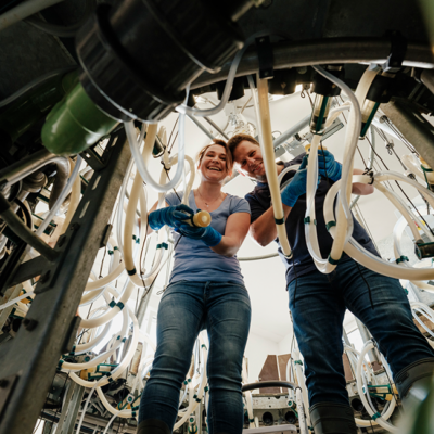 Familie Stangl im Melkkarusell