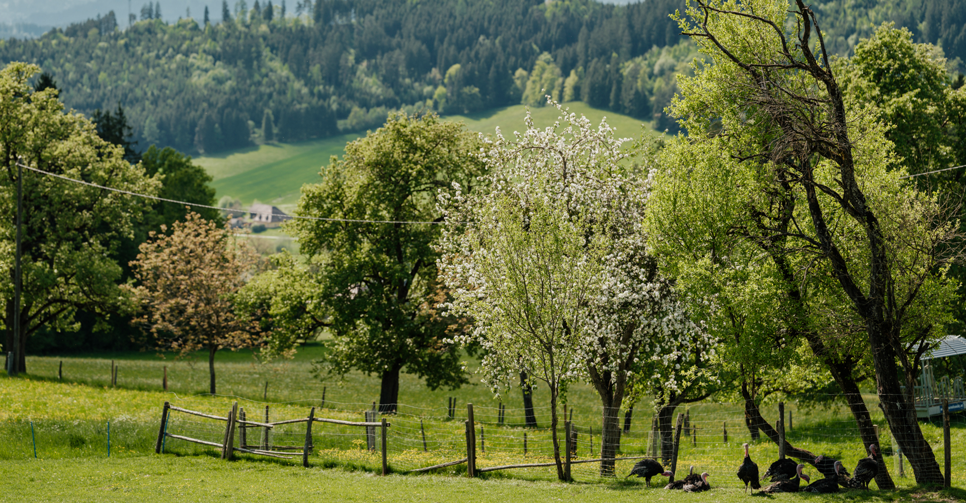 Landschafts-Aufnahme