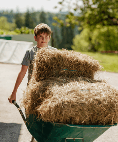 Sohn bei der Stall-Arbeit