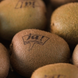 Ja! Natürlich Bio-Kiwis.