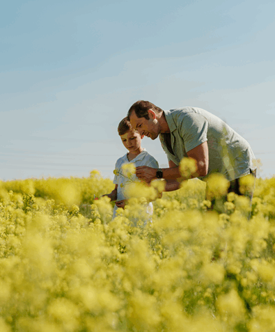 Vater und Sohn beobachten die Senf-Blüten