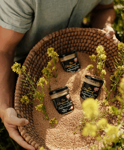 Korb mit Senfkörnern und Bio-Senf Gläsern