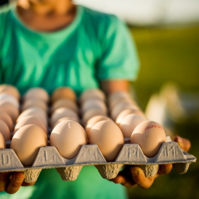 Große Tasse mit Eiern wird von Dame im grünen T-Shirt gehalten