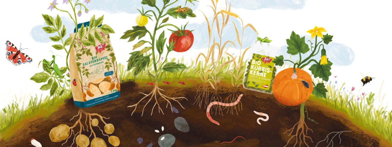 Gesunder Boden Kampagnensujet: Bio-Boden mit Tierchen, Pflanzen und Ja! Natürlich Produkten