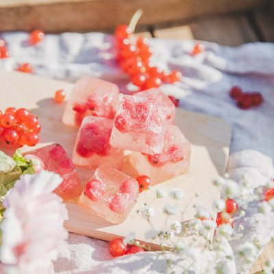 Eiswürfel mit roten Bio-Ribiseln.