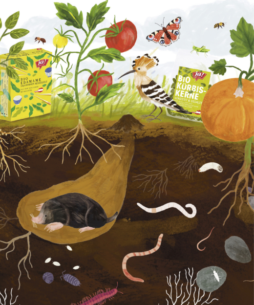 Gesunder Boden Kampagnensujet: Bio-Boden mit Tierchen, Pflanzen und Ja! Natürlich Produkten