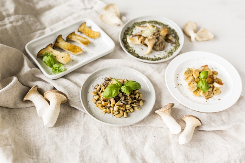 Die 3 heimischen Pilz Wunder