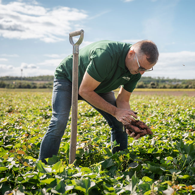Gesunder Boden Presse Event Gerhard Michaeler am Feld
