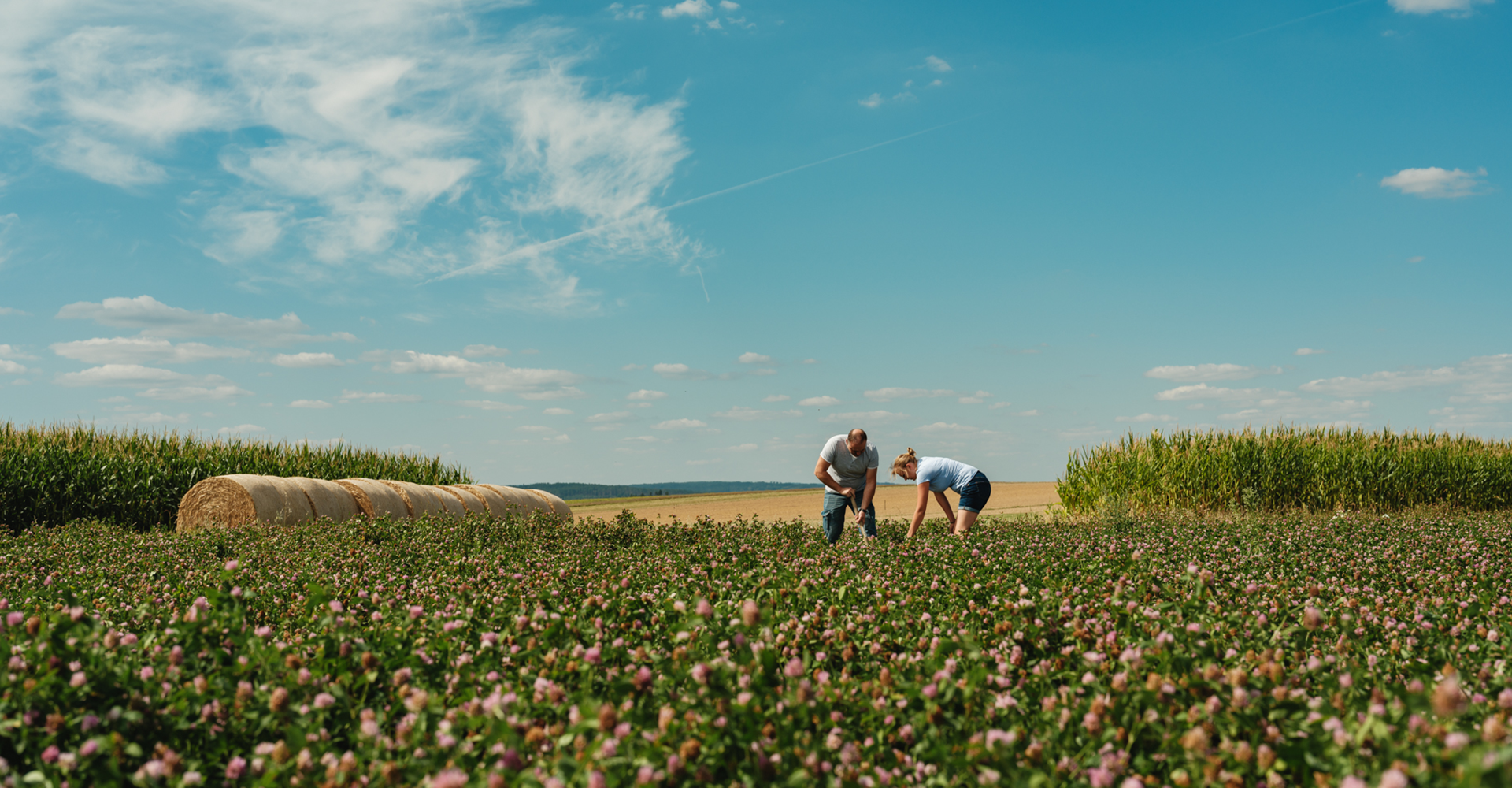 Feld von Familie Kernstock