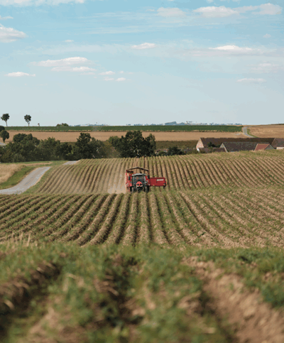 Vollernter fährt am Feld