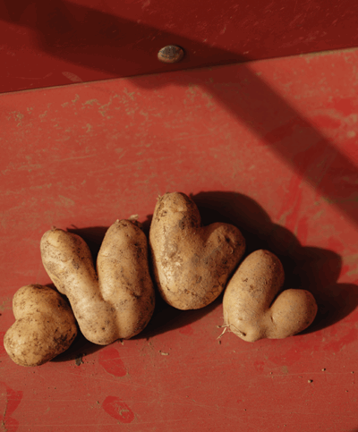 Erdäpfel in Herz-Form