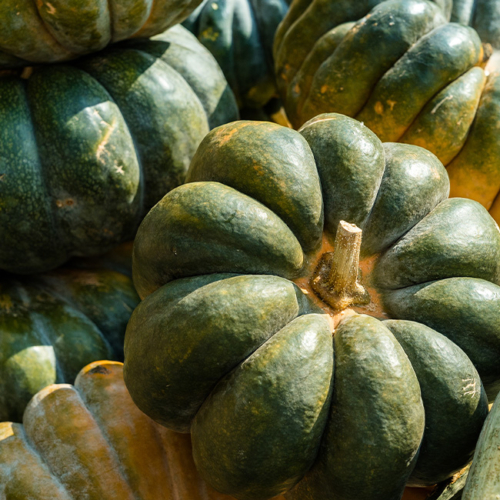 Muskatkürbisse liegen gestapelt aufeinander