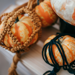 Kürbisse in Makramee-Netzen