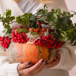 Kürbis als Vase mit Zweigen und Blumen befüllt
